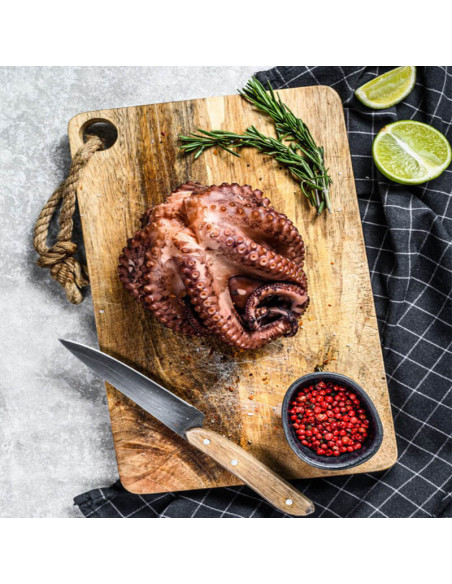 Small Raw Whole Octopus , 1.6kg