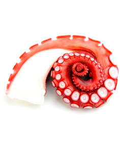 Steamed cooked Octopus tentacle, ±320g (FROZEN) - Price per KG