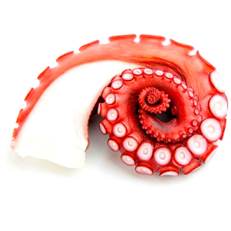 Steamed cooked Octopus tentacle, Approx 320g (FROZEN) - Price per KG